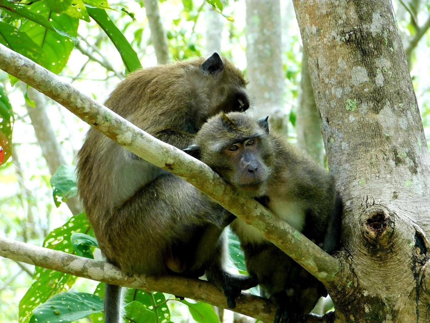 Swiss Bonihouse Koh Yao Yai Ξενοδοχείο Ban Pru Nai Εξωτερικό φωτογραφία