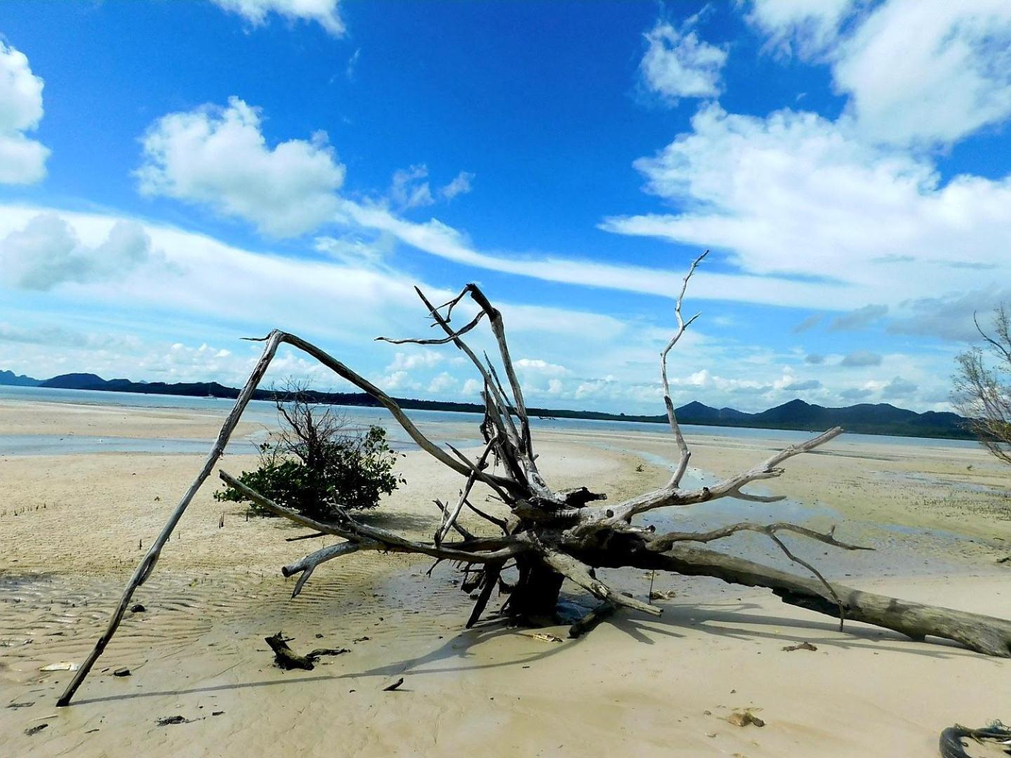 Swiss Bonihouse Koh Yao Yai Ξενοδοχείο Ban Pru Nai Εξωτερικό φωτογραφία