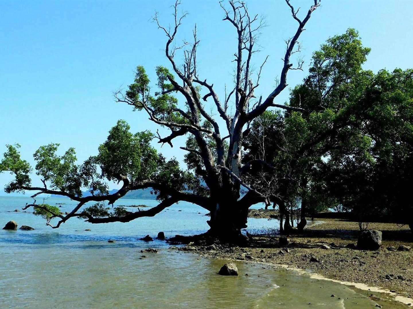 Swiss Bonihouse Koh Yao Yai Ξενοδοχείο Ban Pru Nai Εξωτερικό φωτογραφία