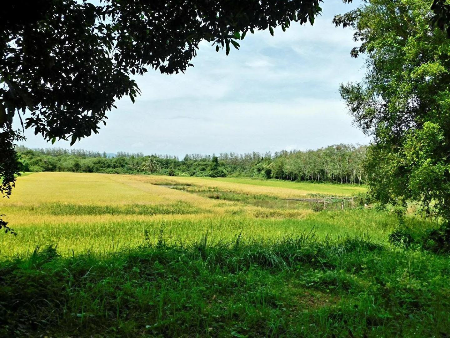 Swiss Bonihouse Koh Yao Yai Ξενοδοχείο Ban Pru Nai Εξωτερικό φωτογραφία