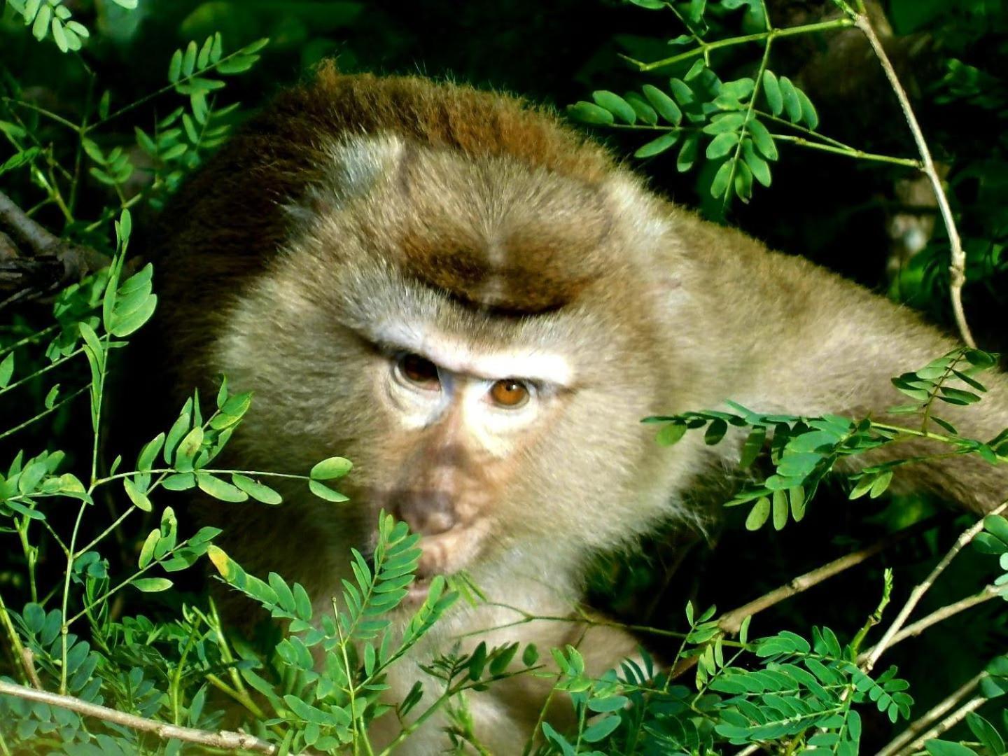 Swiss Bonihouse Koh Yao Yai Ξενοδοχείο Ban Pru Nai Εξωτερικό φωτογραφία