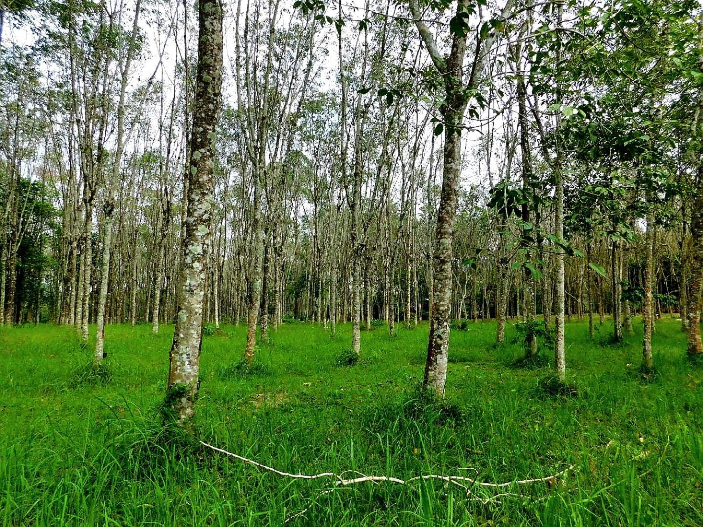 Swiss Bonihouse Koh Yao Yai Ξενοδοχείο Ban Pru Nai Εξωτερικό φωτογραφία